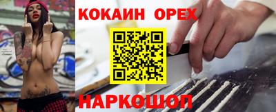 крисы Кандалакша